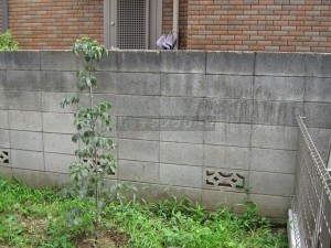 隣家との境界ブロック塀画像