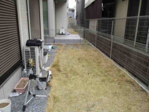 戸建の庭